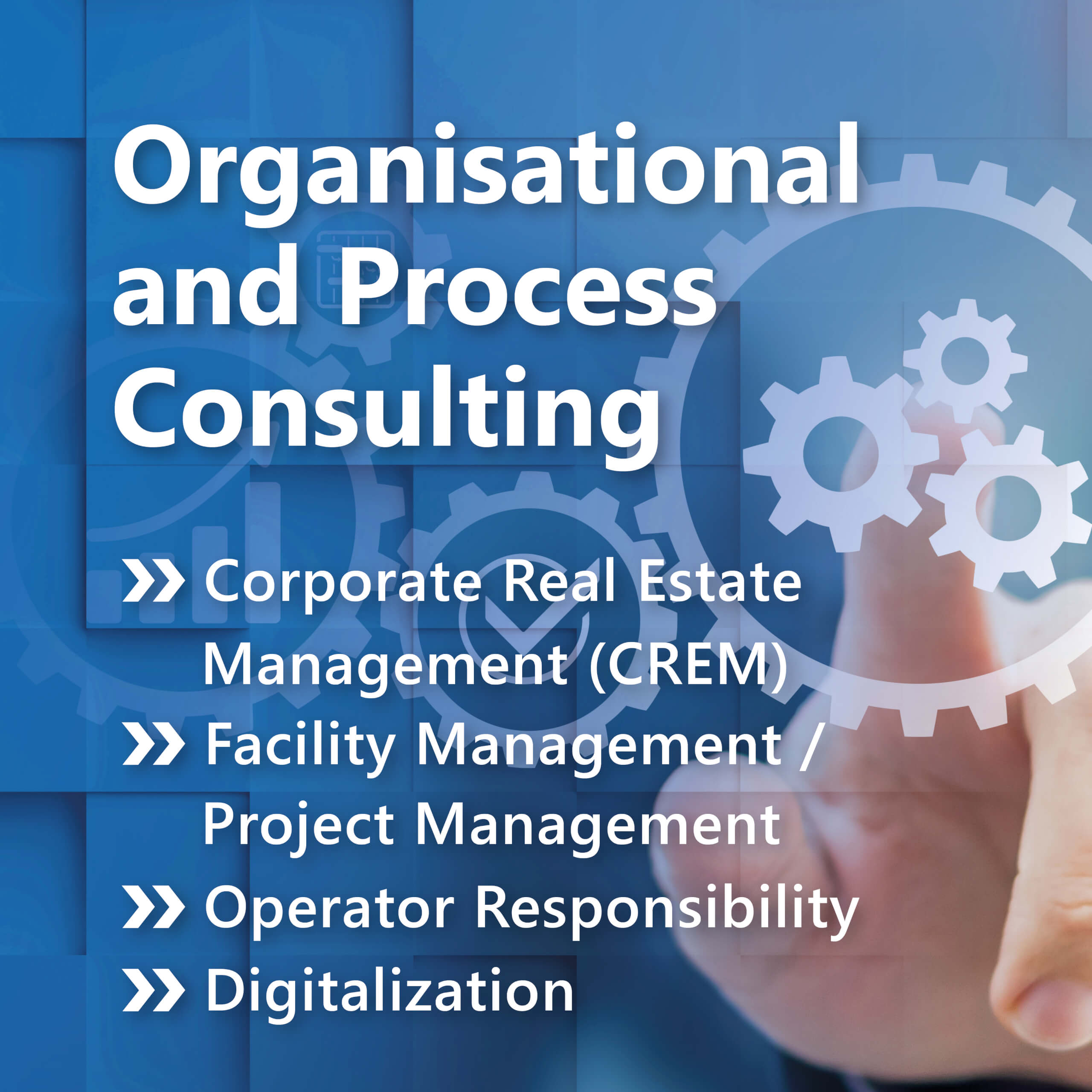 11.20-OrganisationsProz-1x1-4K-MAX-ENG